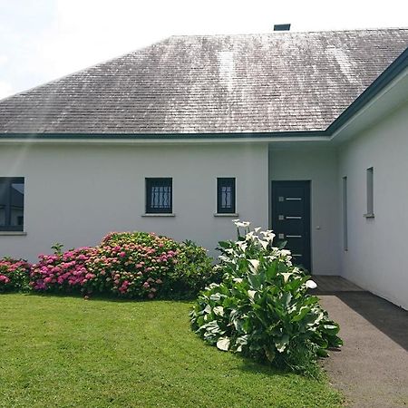 Maison L'Allee Des Arums Oloron-Sainte-Marie Eksteriør billede