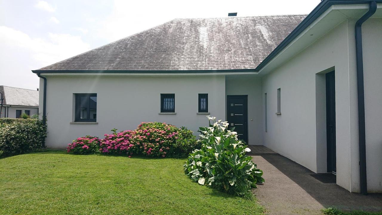 Maison L'Allee Des Arums Oloron-Sainte-Marie Eksteriør billede